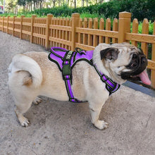 Load image into Gallery viewer, Nylon Dog Harness Vest Reflective Dog Harness Personalized Breathable
