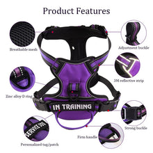 Load image into Gallery viewer, Nylon Dog Harness Vest Reflective Dog Harness Personalized Breathable
