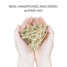 Load image into Gallery viewer, Organic Case - Alpine Hay
