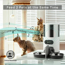 Load image into Gallery viewer, Smart App Pet Feeder Cat And Dog Food Dispenser Stainless Steel Bowl
