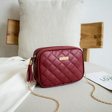 Load image into Gallery viewer, Tassel Small Messenger Bag For Women 2021 Trend Lingge Embroidery

