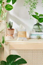 Load image into Gallery viewer, Organic Soap Nuts-All Natural Laundry Soap
