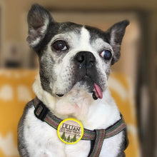 Load image into Gallery viewer, Woodgrain, Forest, Mountains, Trees, Hiking TWIST Tag- Silent,
