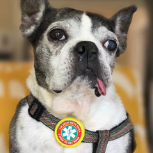 Load image into Gallery viewer, Medical Alert TWIST TAG- Silent, Eco-Friendly, Ringless ID Tag for

