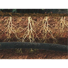 Load image into Gallery viewer, Watering hose AQUA-DROP 1/2" - 30m
