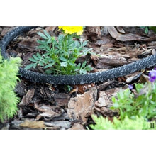 Load image into Gallery viewer, Watering hose AQUA-DROP 1/2" - 30m
