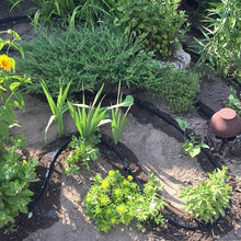 Load image into Gallery viewer, Watering hose AQUA-DROP 1/2" - 30m
